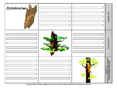 Leporello-Eichhörnchen-6-1-2.pdf